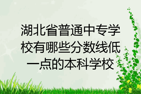 湖北省普通中专学校有哪些分数线低一点的本科学校