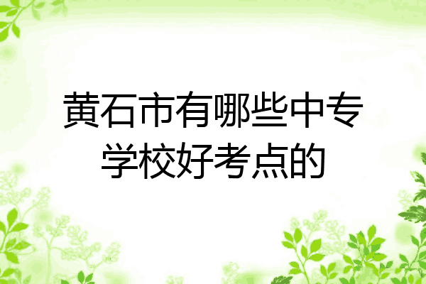 黄石市有哪些中专学校好考点的