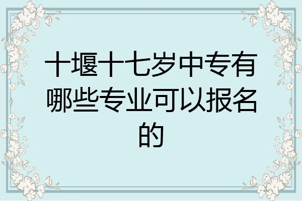 十堰十七岁中专有哪些专业可以报名的
