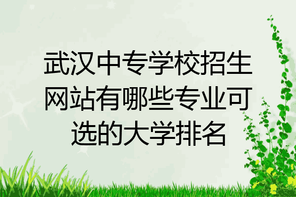 武汉中专学校招生网站有哪些专业可选的大学排名