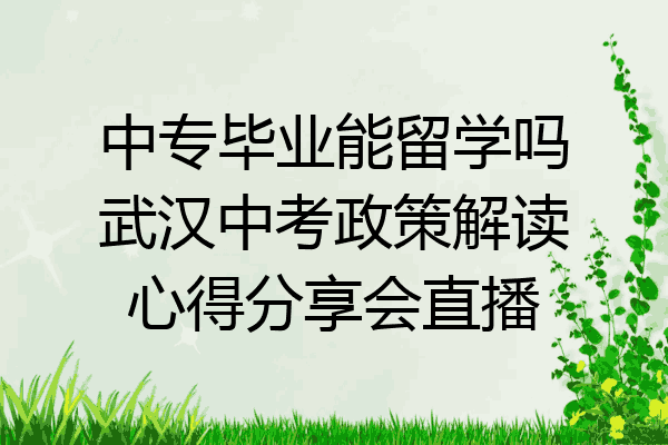 中专毕业能留学吗武汉中考政策解读心得分享会直播