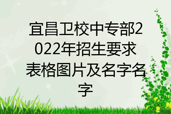宜昌卫校中专部2022年招生要求表格图片及名字名字