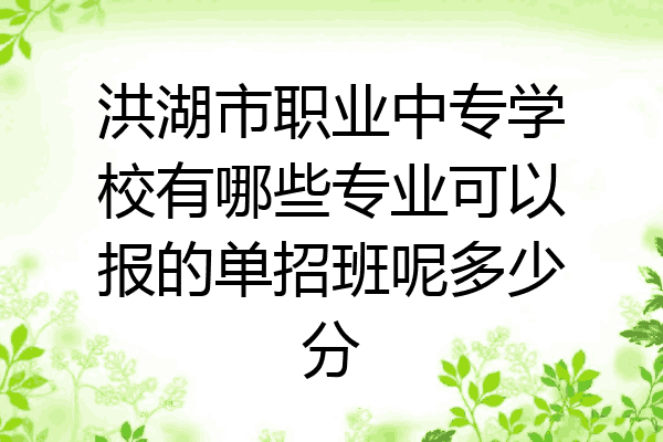 洪湖市职业中专学校有哪些专业可以报的单招班呢多少分
