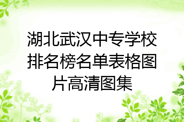 湖北武汉中专学校排名榜名单表格图片高清图集