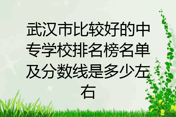 武汉市比较好的中专学校排名榜名单及分数线是多少左右
