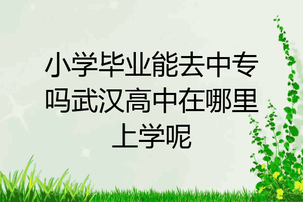 小学毕业能去中专吗武汉高中在哪里上学呢