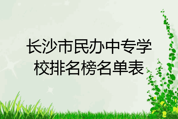 长沙市民办中专学校排名榜名单表