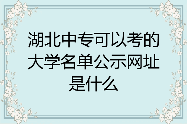 湖北中专可以考的大学名单公示网址是什么