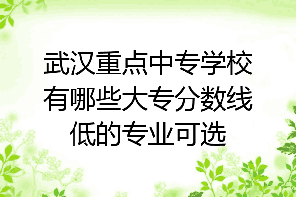 武汉重点中专学校有哪些大专分数线低的专业可选