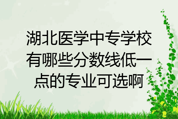 湖北医学中专学校有哪些分数线低一点的专业可选啊