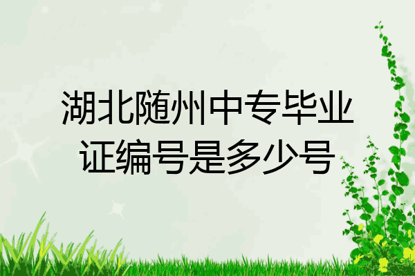 湖北随州中专毕业证编号是多少号