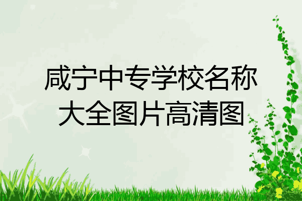 咸宁中专学校名称大全图片高清图