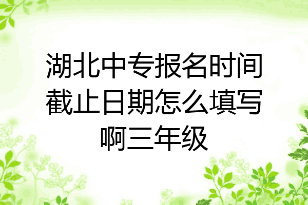 湖北中专报名时间截止日期怎么填写啊三年级