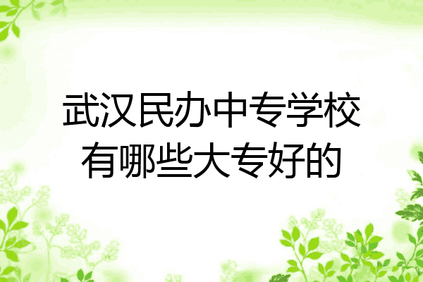 武汉民办中专学校有哪些大专好的
