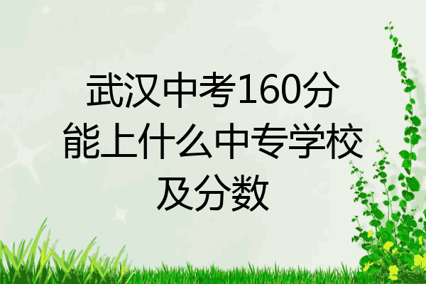 武汉中考160分能上什么中专学校及分数