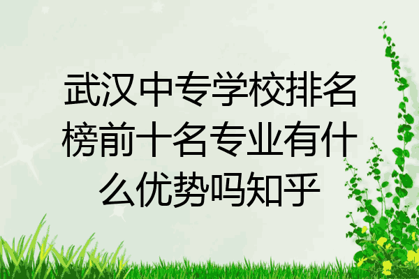 武汉中专学校排名榜前十名专业有什么优势吗知乎
