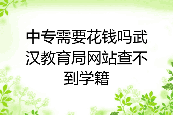 中专需要花钱吗武汉教育局网站查不到学籍