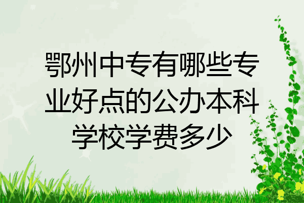 鄂州中专有哪些专业好点的公办本科学校学费多少