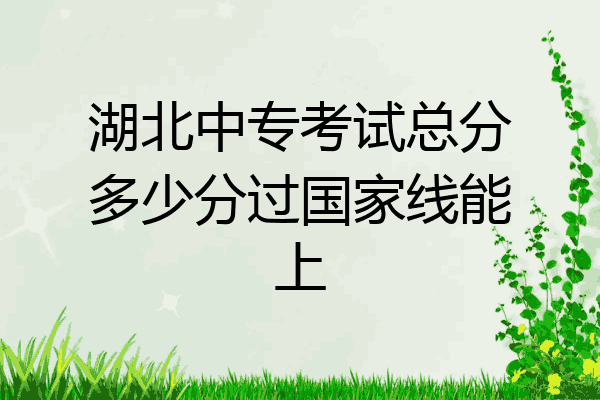 湖北中专考试总分多少分过国家线能上