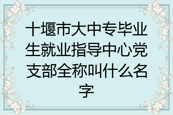十堰市大中专毕业生就业指导中心党支部全称叫什么名字