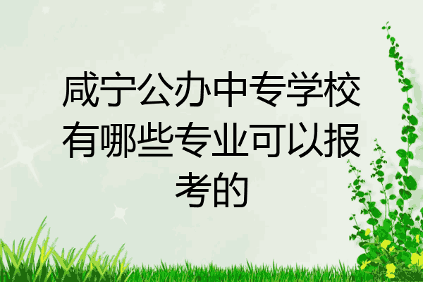 咸宁公办中专学校有哪些专业可以报考的