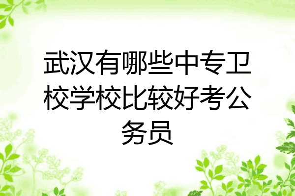 武汉有哪些中专卫校学校比较好考公务员