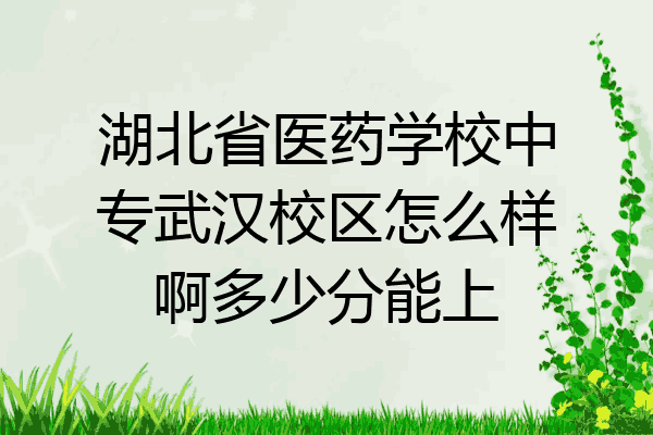 湖北省医药学校中专武汉校区怎么样啊多少分能上