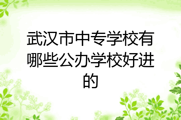 武汉市中专学校有哪些公办学校好进的