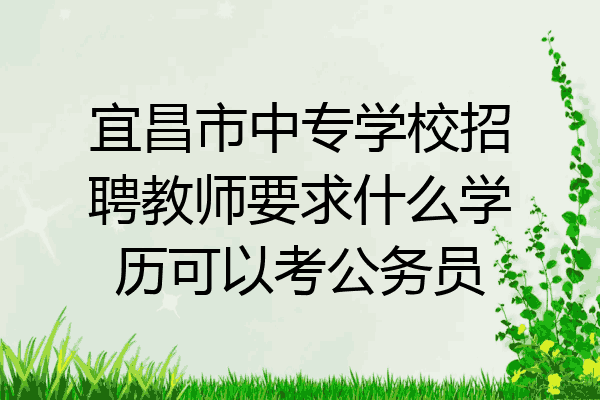 宜昌市中专学校招聘教师要求什么学历可以考公务员