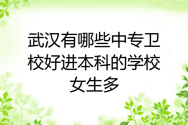 武汉有哪些中专卫校好进本科的学校女生多