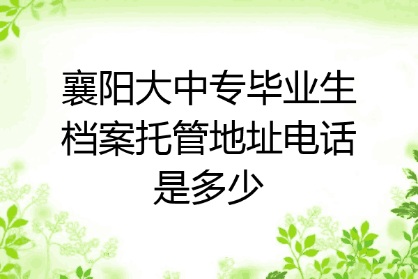 襄阳大中专毕业生档案托管地址电话是多少