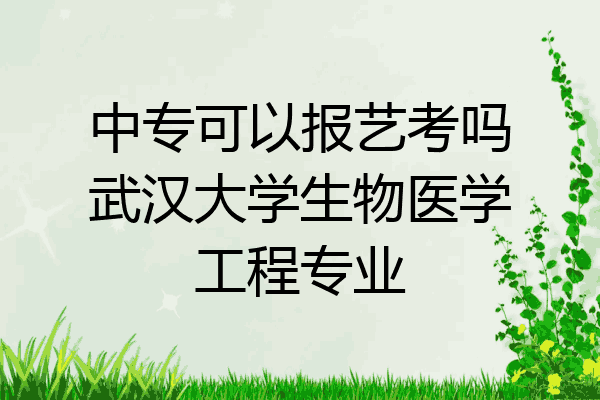 中专可以报艺考吗武汉大学生物医学工程专业