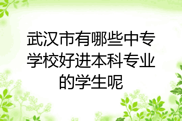 武汉市有哪些中专学校好进本科专业的学生呢