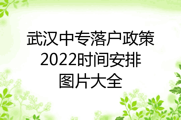 武汉中专落户政策2022时间安排图片大全