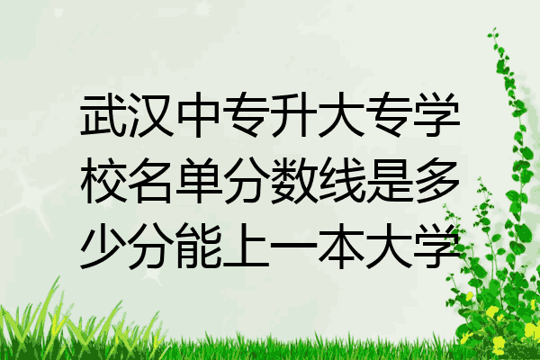 武汉中专升大专学校名单分数线是多少分能上一本大学