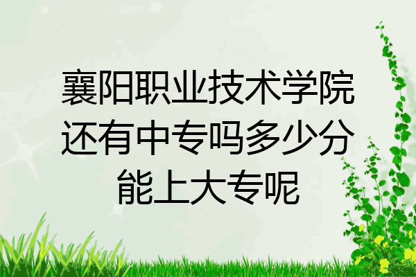 襄阳职业技术学院还有中专吗多少分能上大专呢