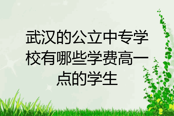 武汉的公立中专学校有哪些学费高一点的学生