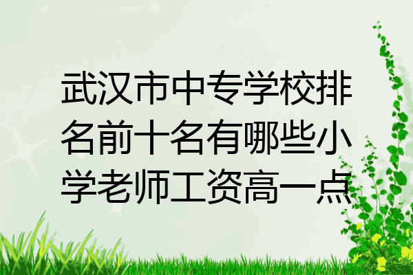 武汉市中专学校排名前十名有哪些小学老师工资高一点