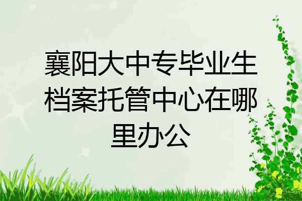 襄阳大中专毕业生档案托管中心在哪里办公