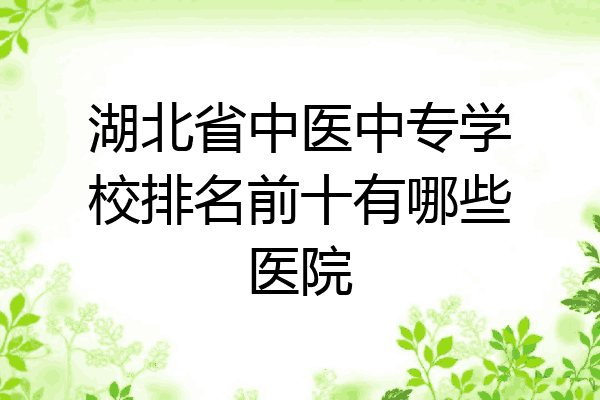 湖北省中医中专学校排名前十有哪些医院