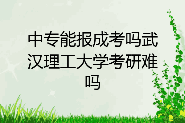 中专能报成考吗武汉理工大学考研难吗