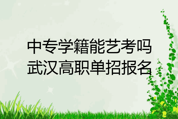 中专学籍能艺考吗武汉高职单招报名