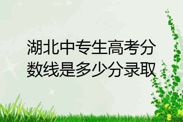 湖北中专生高考分数线是多少分录取