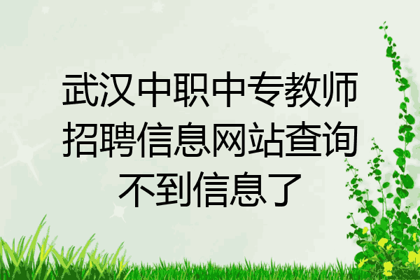 武汉中职中专教师招聘信息网站查询不到信息了