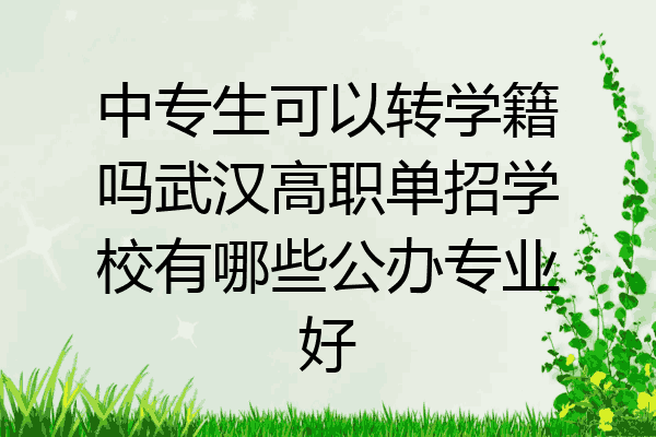 中专生可以转学籍吗武汉高职单招学校有哪些公办专业好