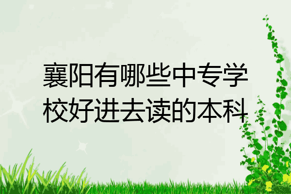 襄阳有哪些中专学校好进去读的本科