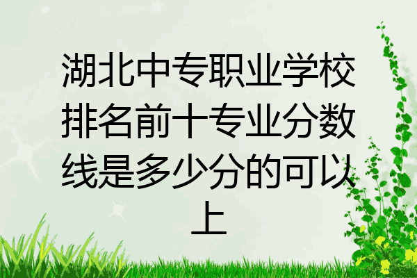 湖北中专职业学校排名前十专业分数线是多少分的可以上