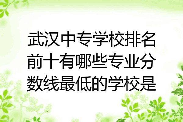 武汉中专学校排名前十有哪些专业分数线最低的学校是