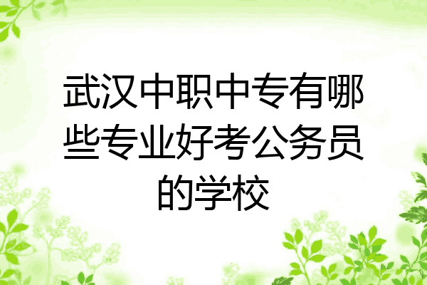 武汉中职中专有哪些专业好考公务员的学校