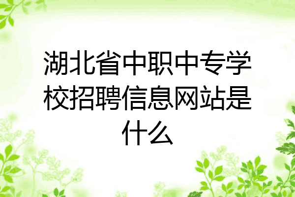湖北省中职中专学校招聘信息网站是什么